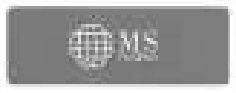 MS